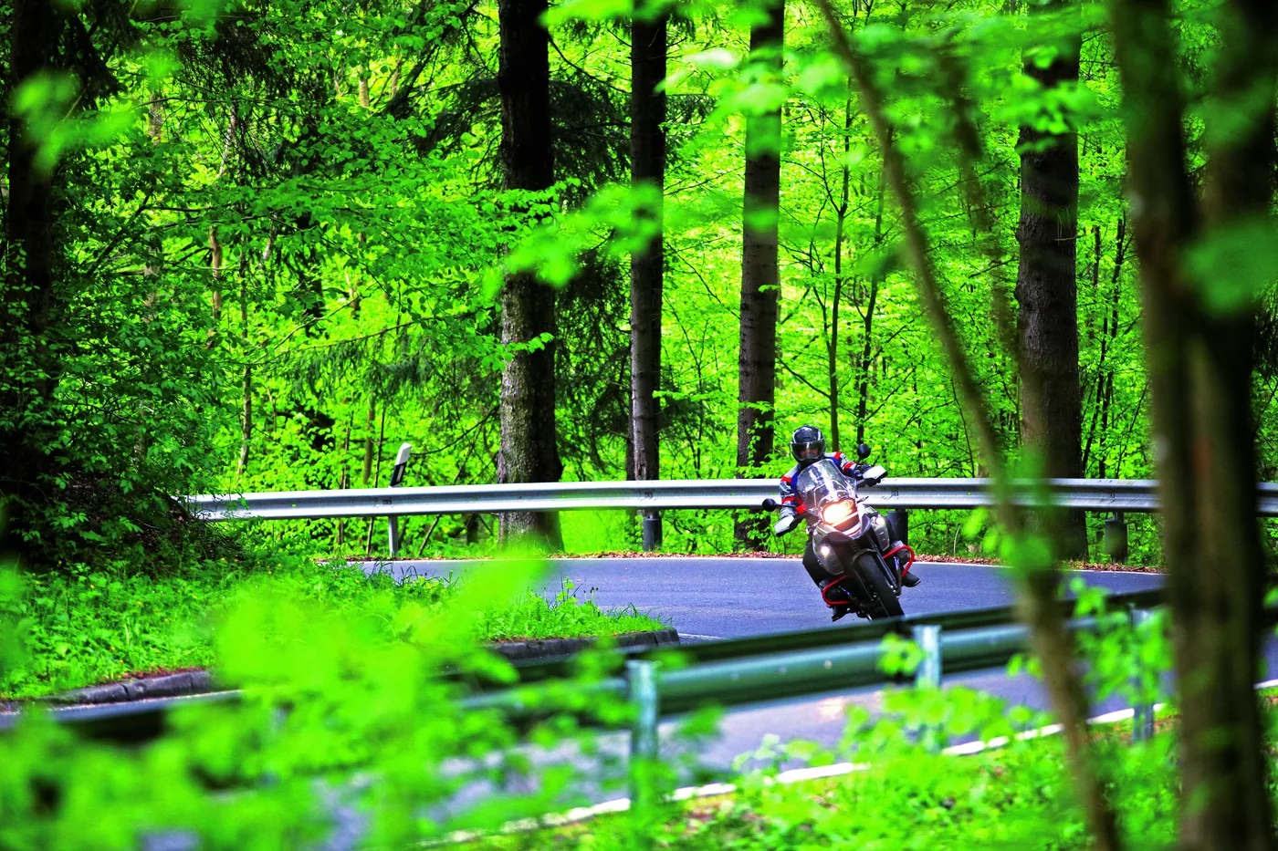 Motorrad auf einer Straße durch dichten grünen Laubwald